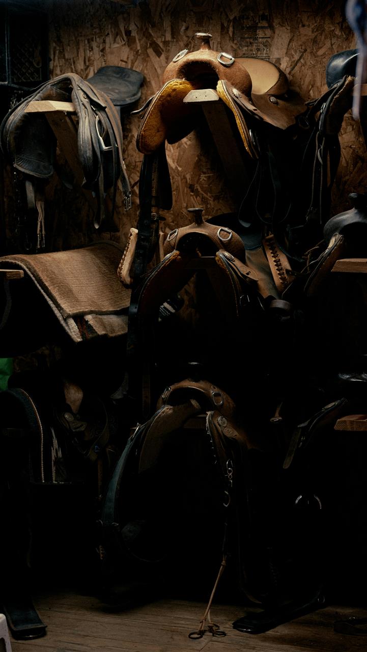 Heste udstyr - din guide til alt du behøver til din hest