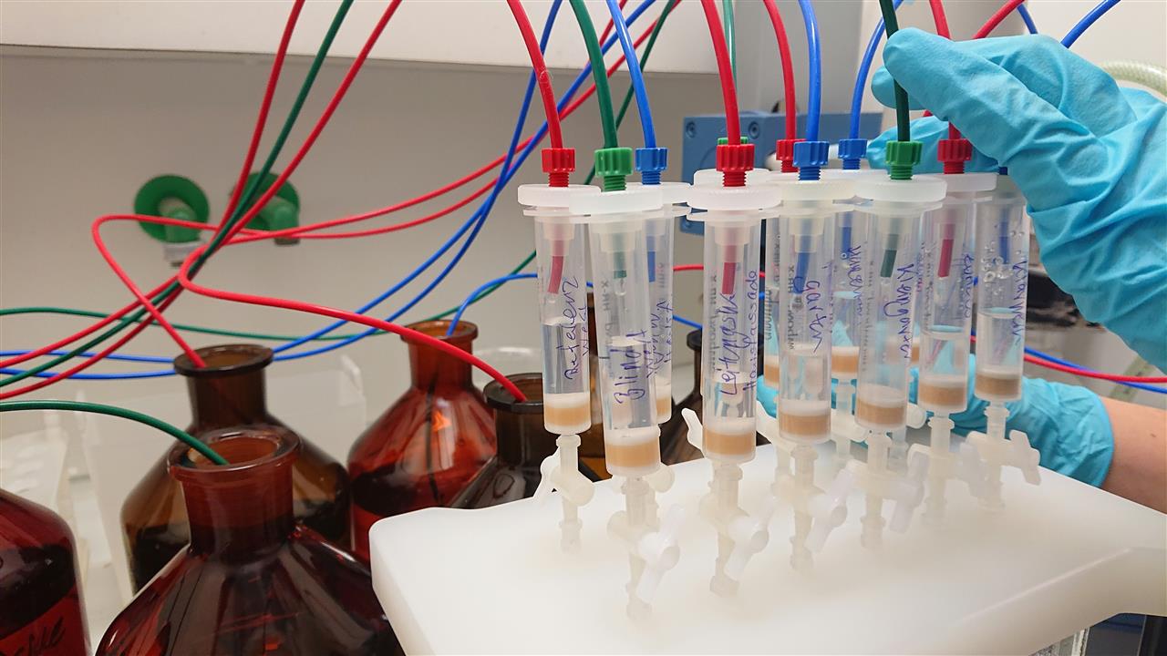 Ægdonation - proces, fordele og overvejelser